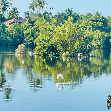 Eagles Nest Cabanas Tangalle Exteriér fotografie