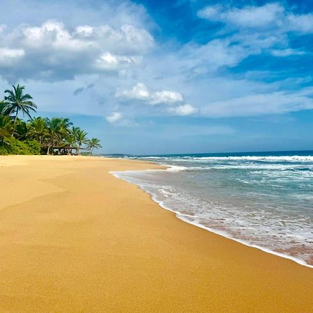 Eagles Nest Cabanas Tangalle Exteriér fotografie