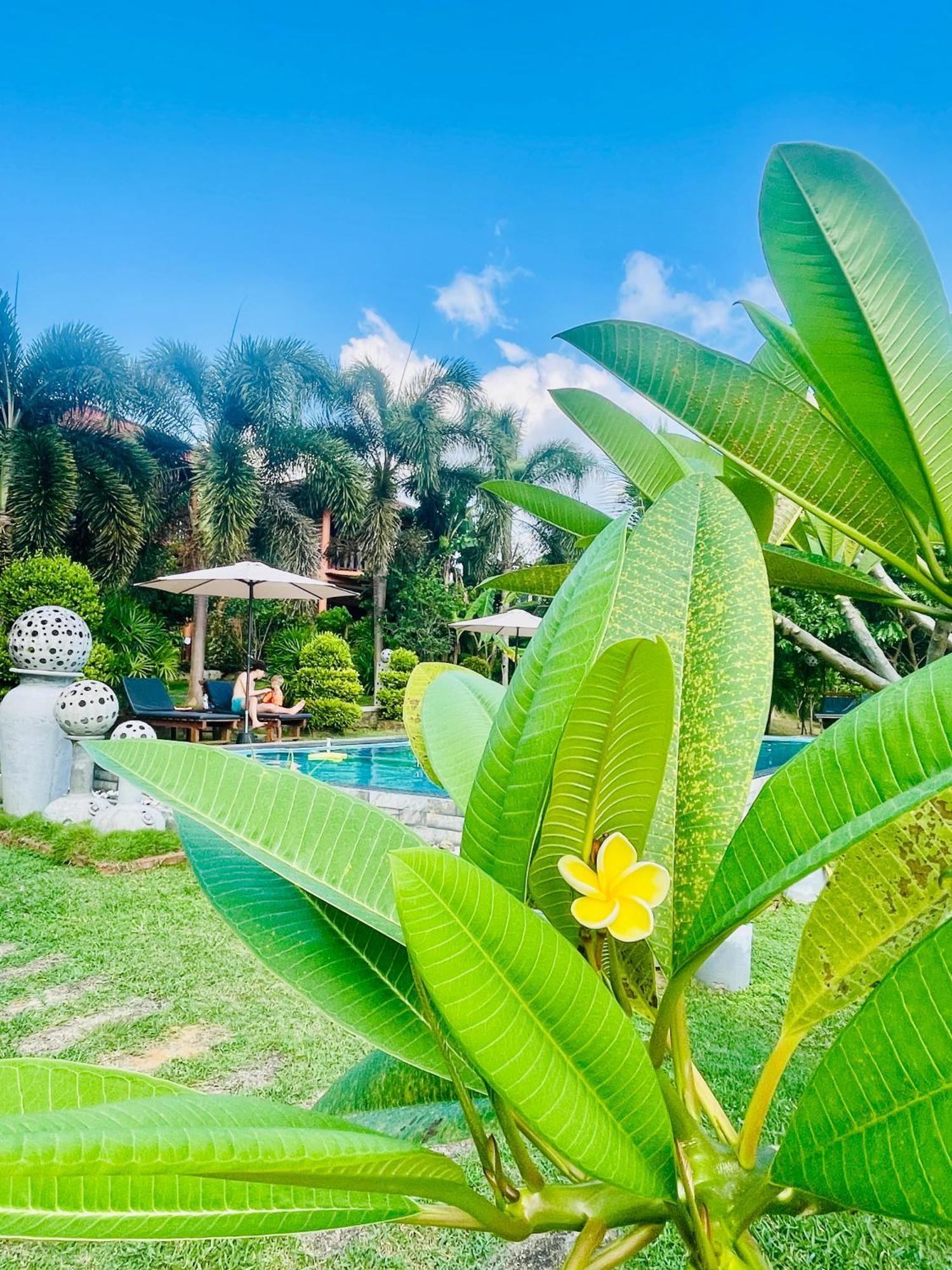 Eagles Nest Cabanas Tangalle Exteriér fotografie